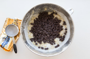 chocolate chips in bowl