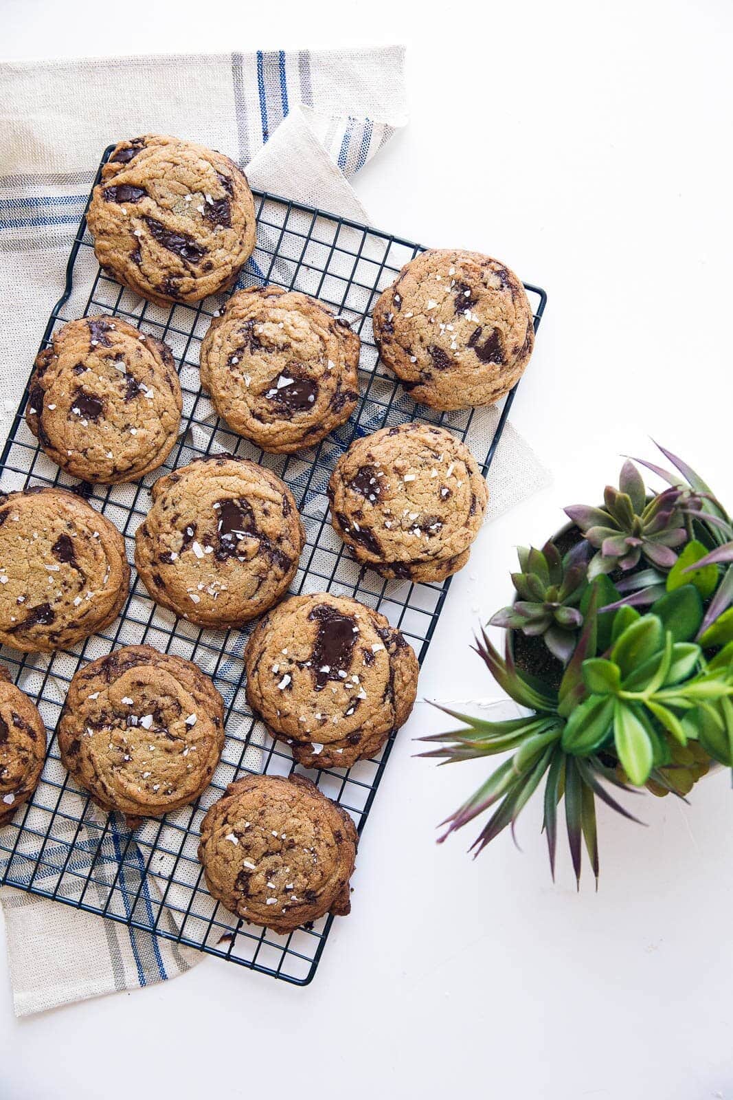 Keeping things classy with olive oil chocolate chip cookies, loaded with huge chunks of dark chocolate and sea salt!
