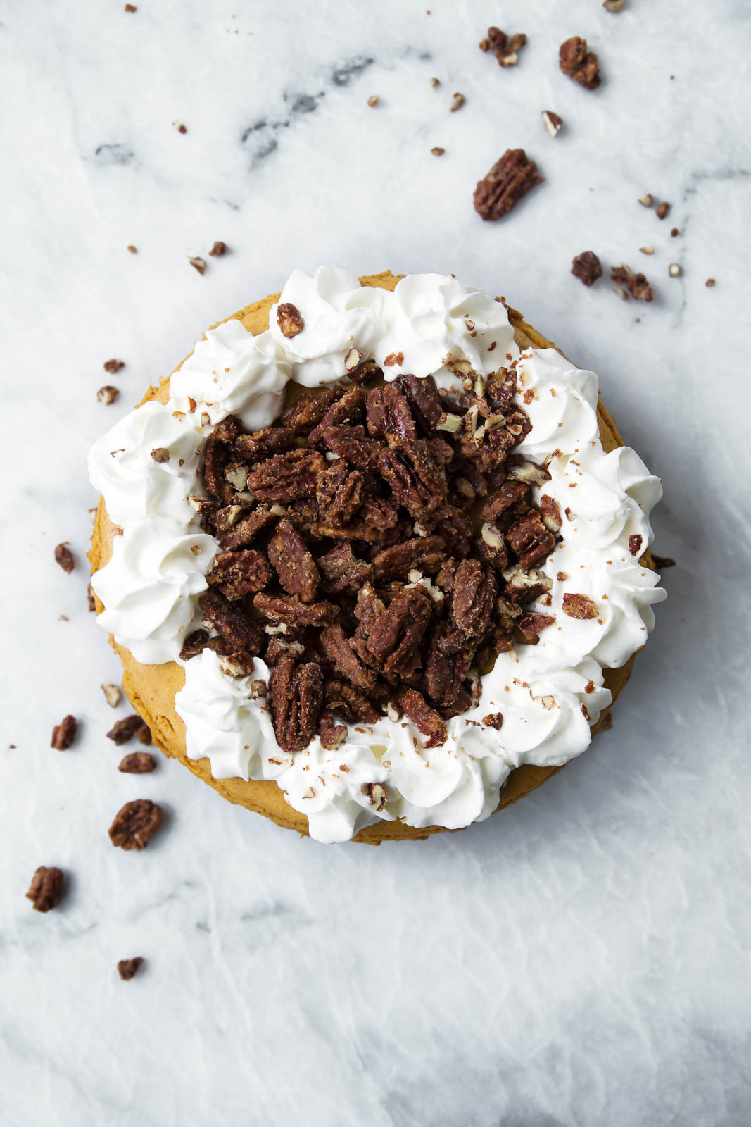 pumpkin cheesecake with whipped cream and candied pecans on top