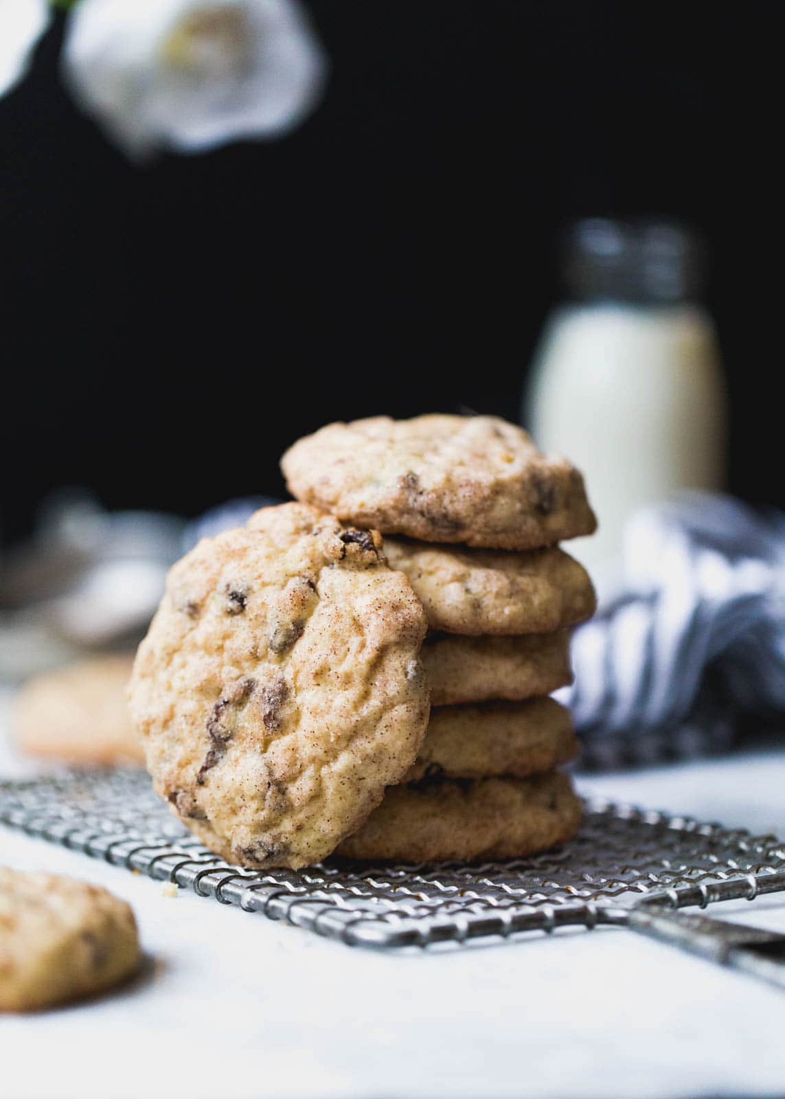 Oatmeal Raisin Snickerdoodle Cookies in a stack
