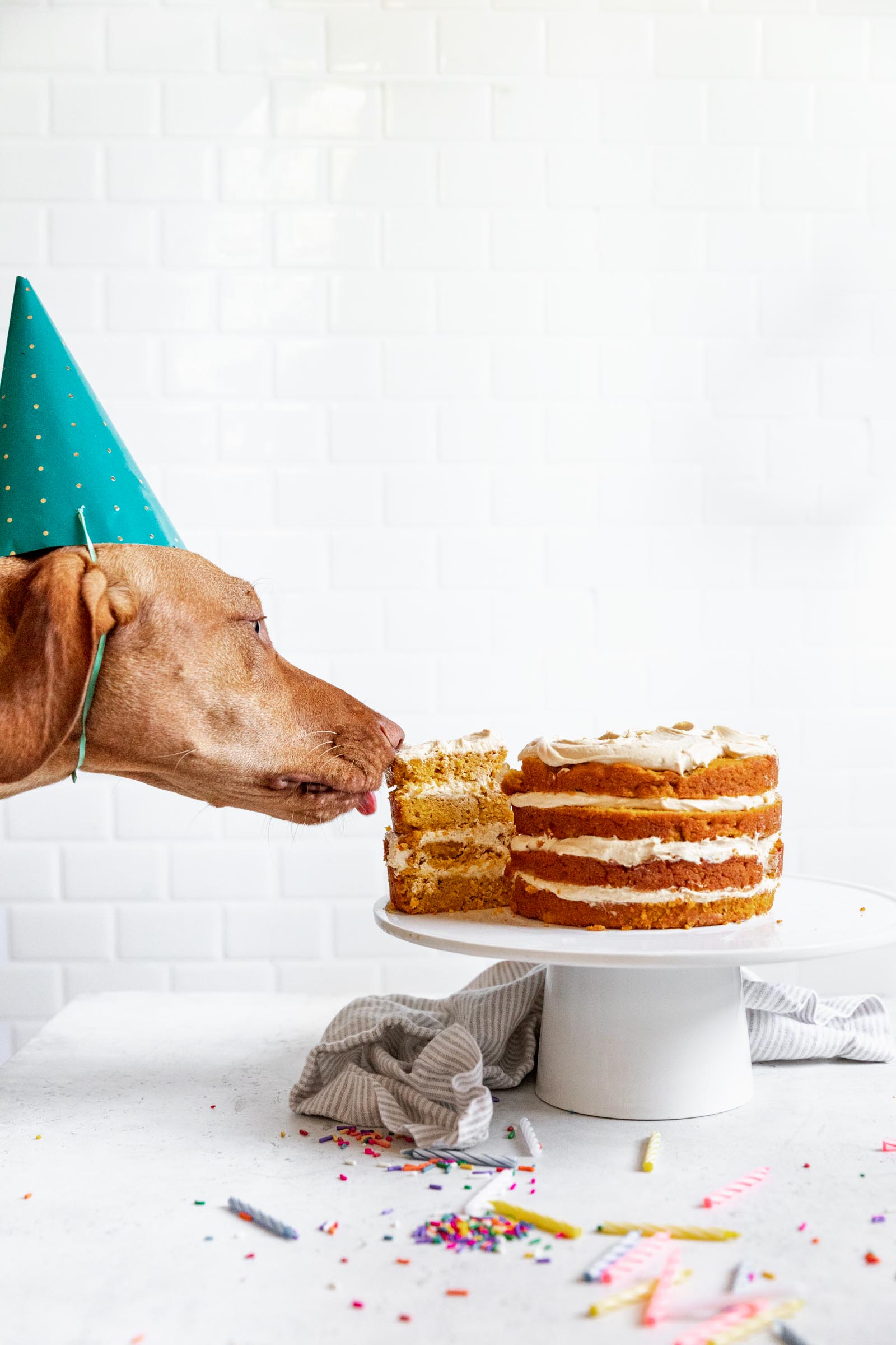 Spoiled Dog Cake Recipe • Love From The Oven