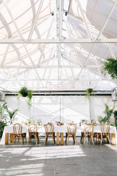 dinner table in an open greenhouse