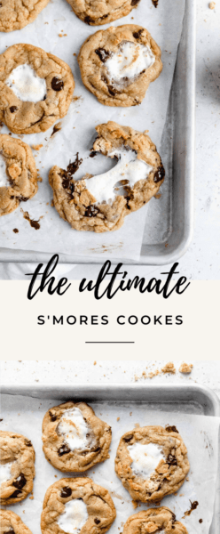 S Mores Cookies Broma Bakery