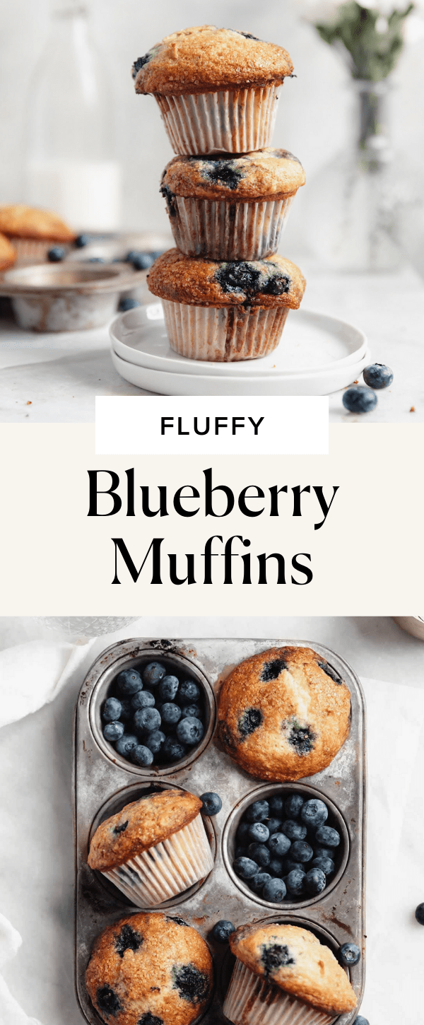 The Best Blueberry Muffins EVER - Broma Bakery