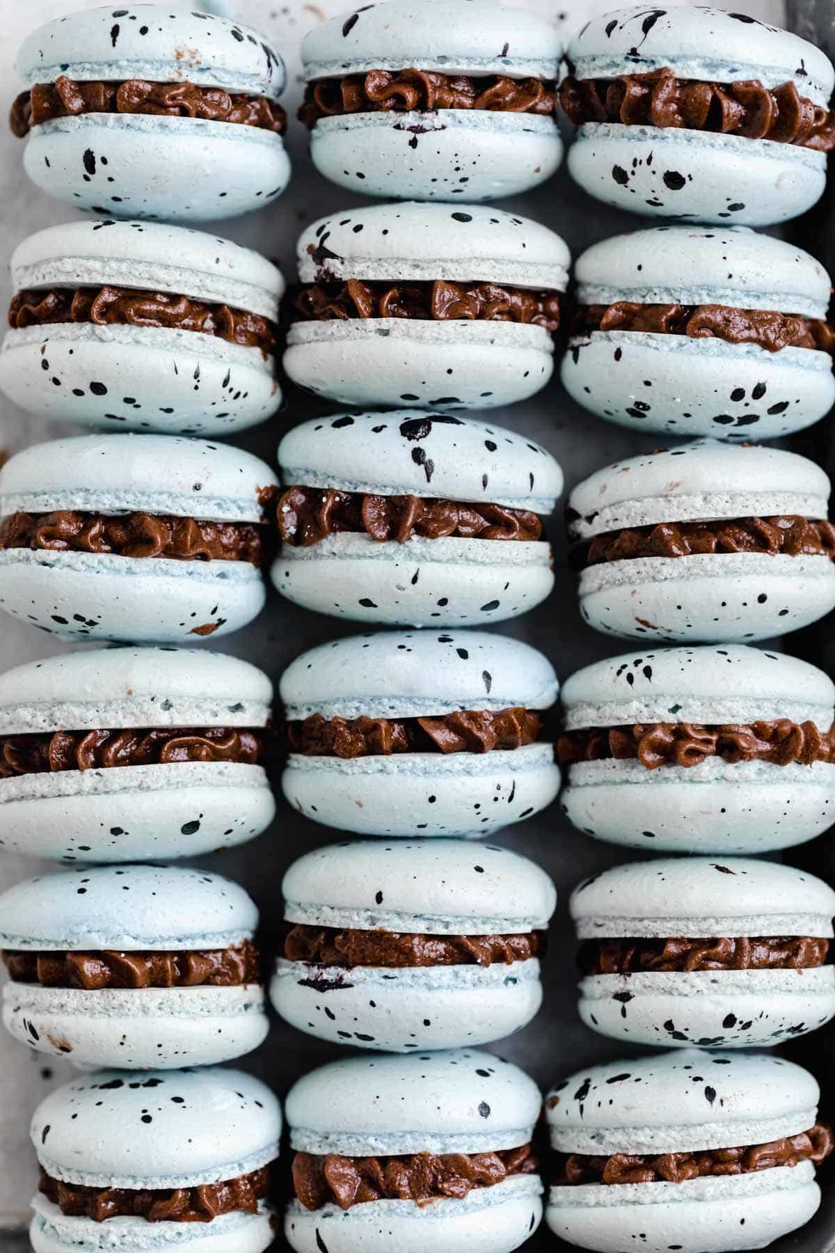 robin's egg blue spring macarons filled with chocolate butterceam