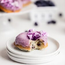 Baked Blueberry Donuts