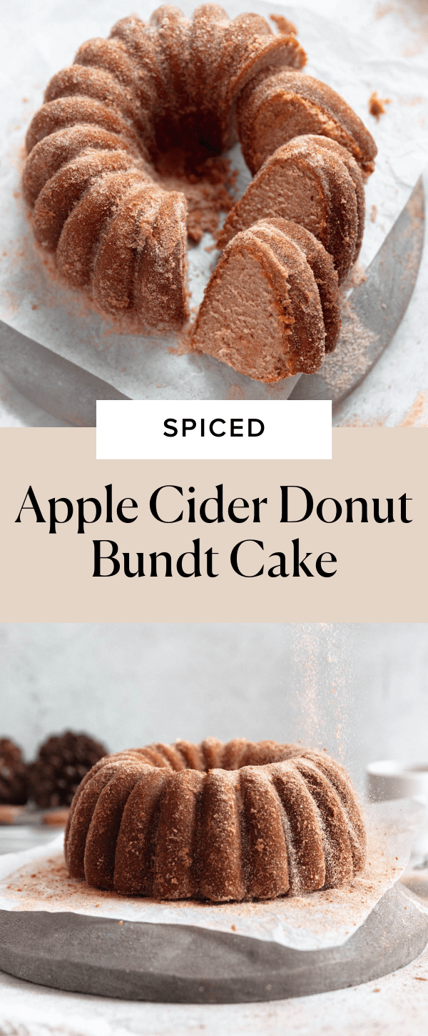 Ridiculously Easy Apple Cider Bundt Cake - The Café Sucre Farine