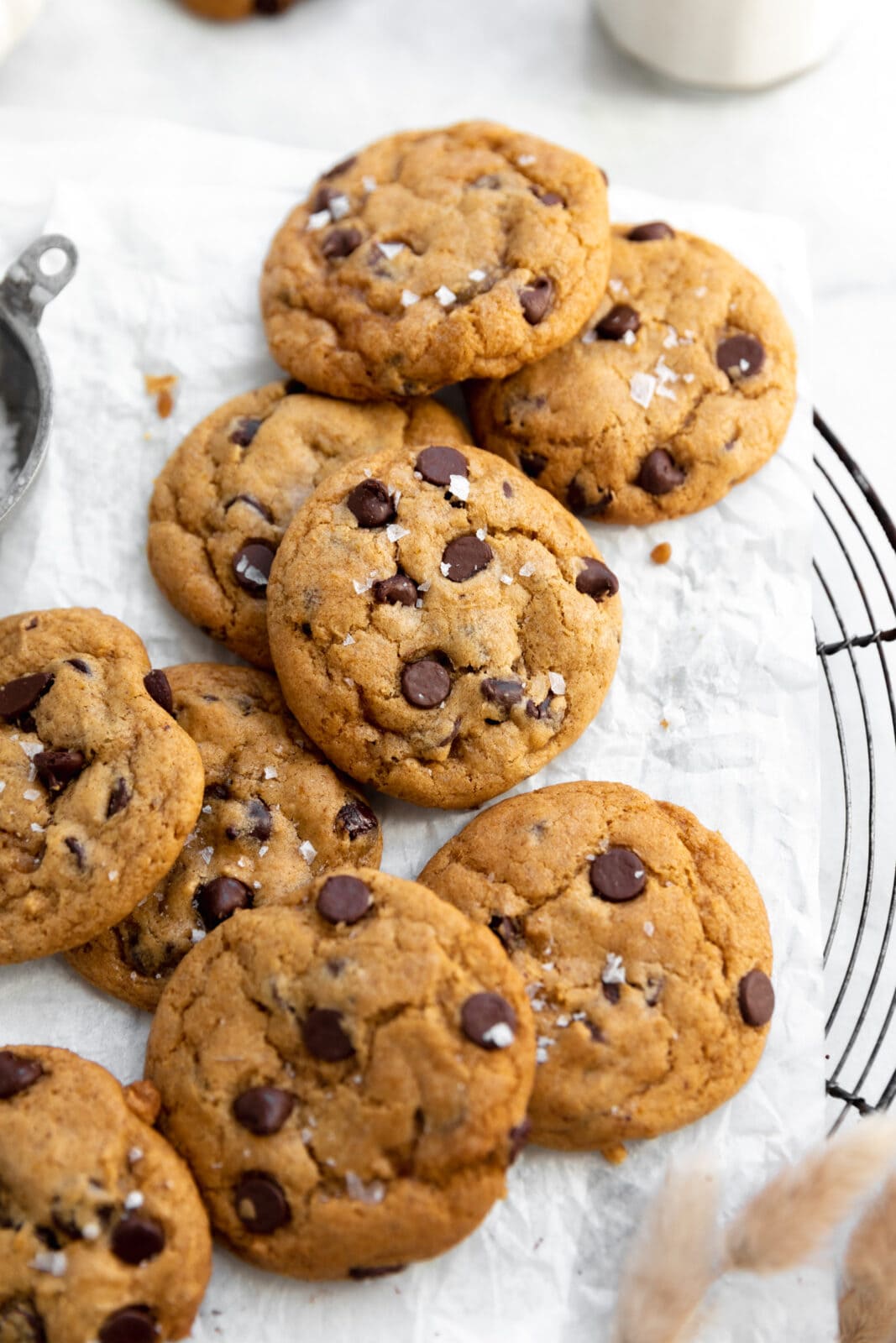 pumpkin chocolate chip cookies