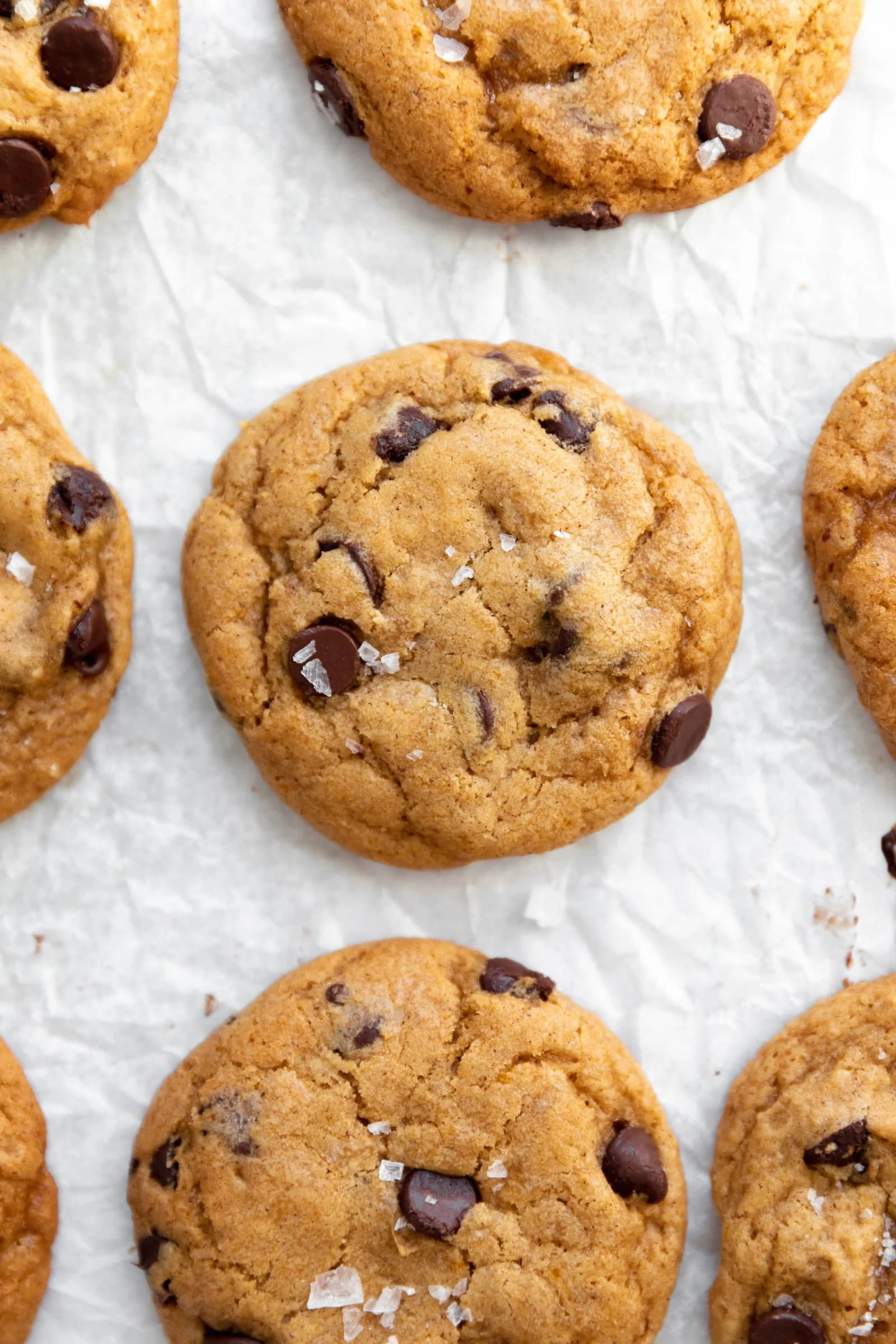 chewy pumpkin chocolate chip cookies