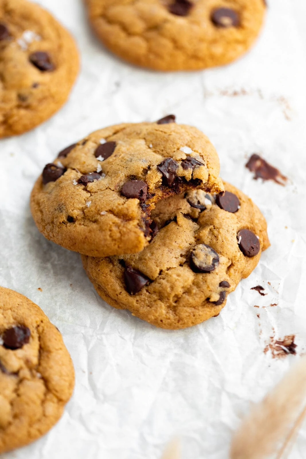 Soft and Chewy Pumpkin Chocolate Chip Cookies - Broma Bakery