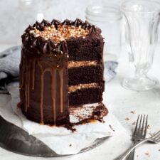 Chocolate Turtle Cake