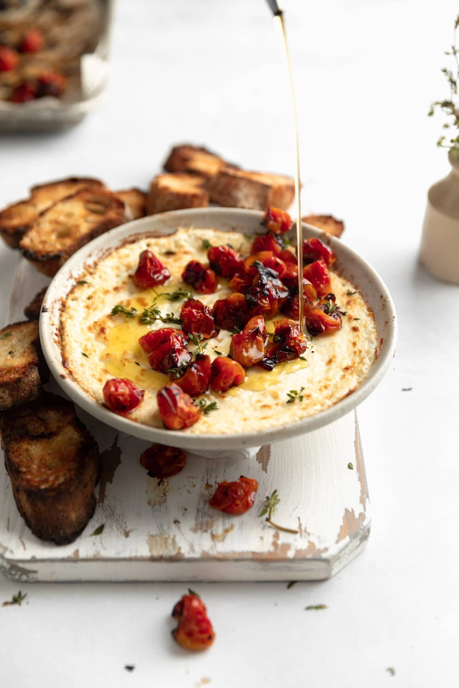 creamy goat cheese dip with tomatoes and bread