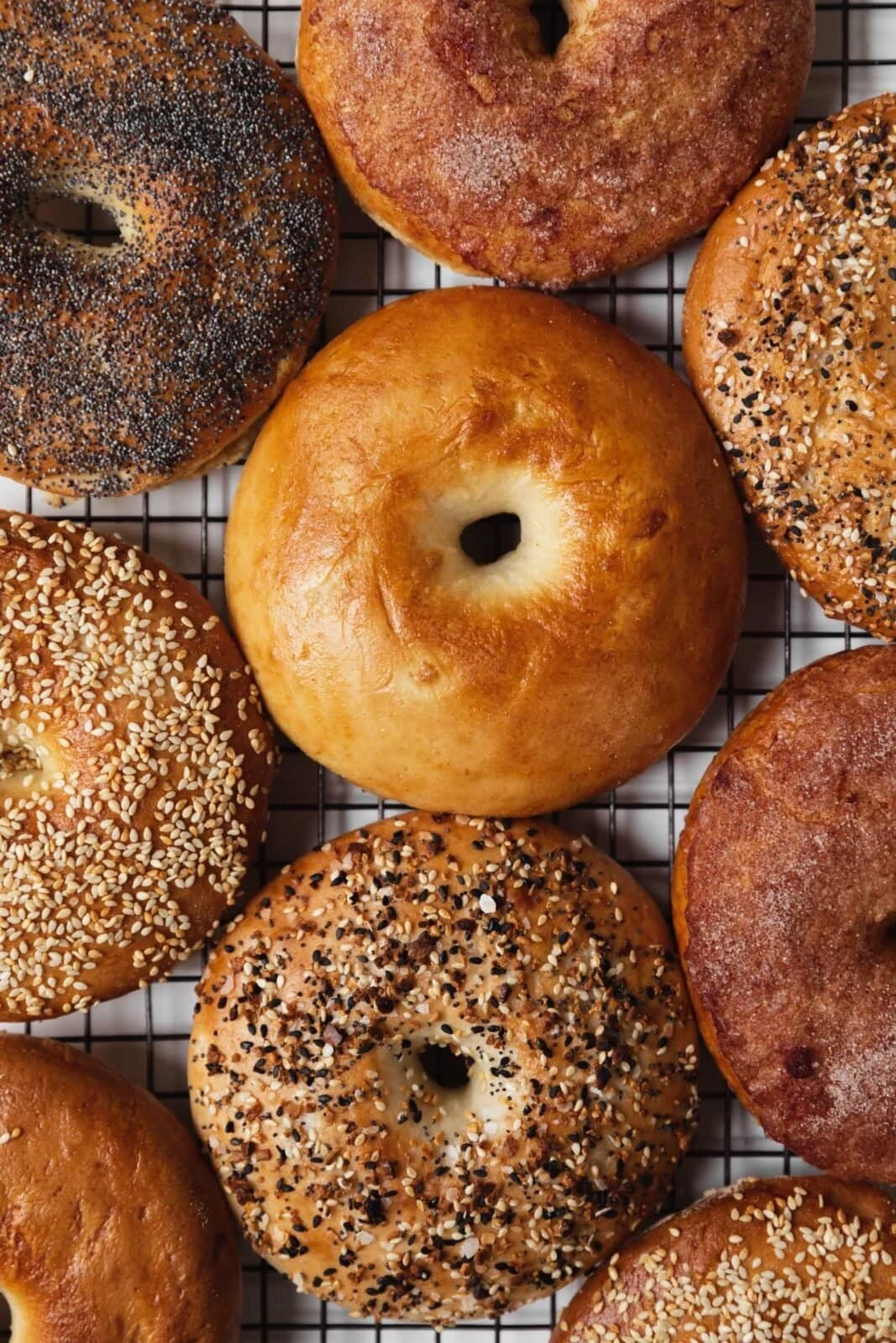 homemade bagels with different seasning