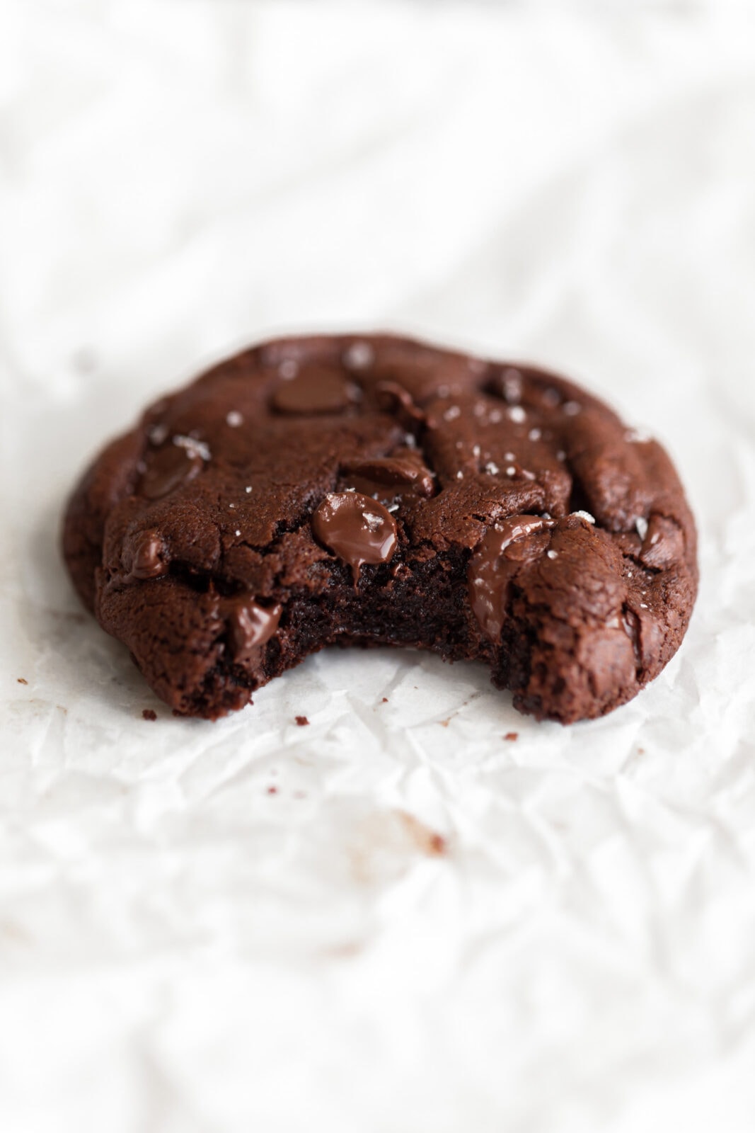 single double chocolate chip cookie with sea salt