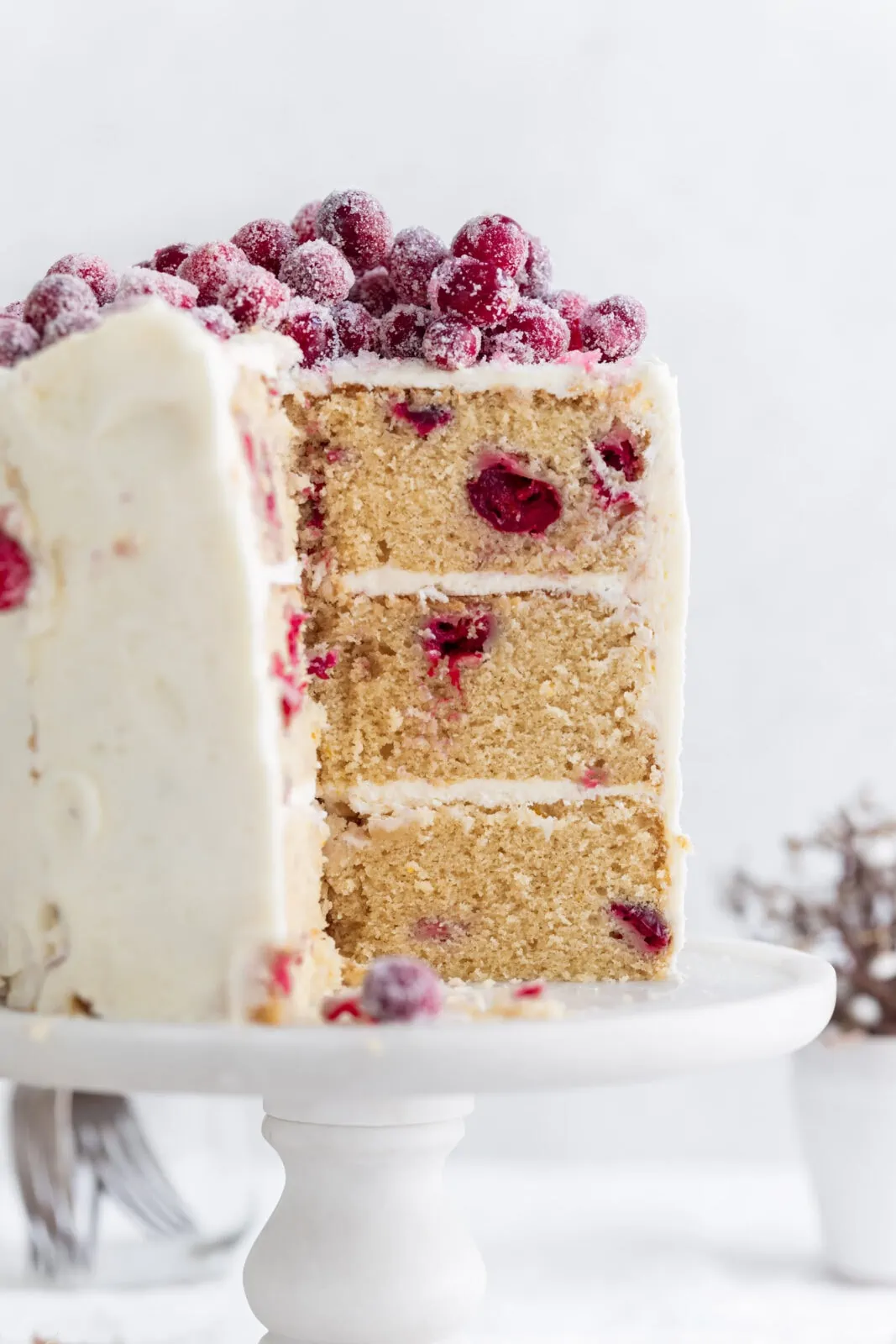 white chocolate cranberry cake on a cake stand