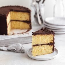 Yellow Cake with Chocolate Frosting