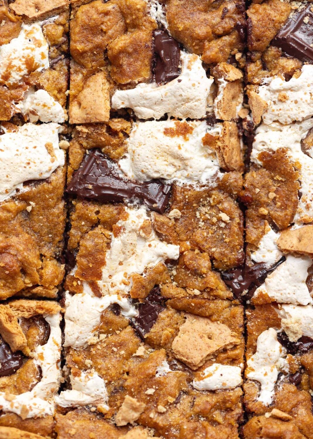 pumpkin s'mores blondies